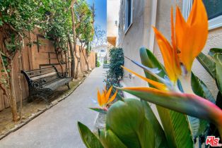 Townhouse, 344 Rexford dr, Beverly Hills, CA 90212 - 3