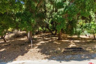 , 31332 Birdella rd, Malibu, CA 90265 - 14