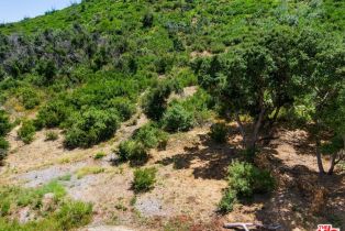 , 31332 Birdella rd, Malibu, CA 90265 - 12