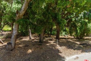 , 31332 Birdella rd, Malibu, CA 90265 - 15