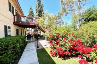 Single Family Residence, 3821 Lariat pl, Fullerton, CA 92835 - 19