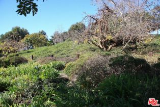 Condominium, 6305 Green Valley cir, Culver City, CA 90230 - 56