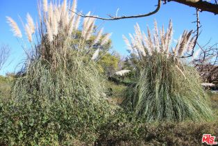 Condominium, 6305 Green Valley cir, Culver City, CA 90230 - 58