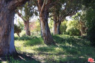 Condominium, 6305 Green Valley cir, Culver City, CA 90230 - 62