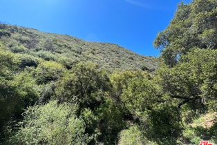 , 123 Cotharin rd, Malibu, CA 90265 - 14