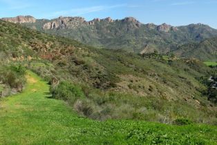 , 123 Cotharin rd, Malibu, CA 90265 - 5