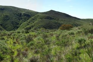 , 123 Cotharin rd, Malibu, CA 90265 - 10