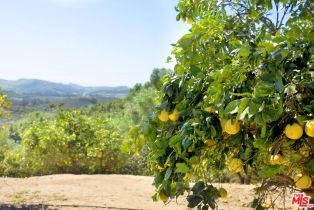 Single Family Residence, 8018 Balcom Canyon rd, Somis, CA 93066 - 35