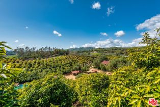 Single Family Residence, 8018 Balcom Canyon rd, Somis, CA 93066 - 32