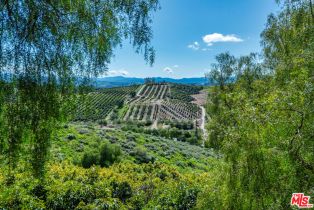 Single Family Residence, 8018 Balcom Canyon rd, Somis, CA 93066 - 33