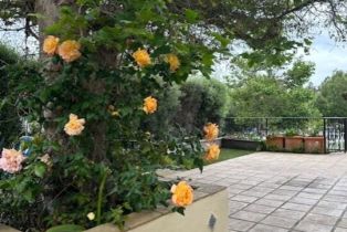 Single Family Residence, 10587 Holman ave, Westwood, CA 90024 - 28