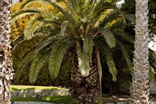 Single Family Residence, 408 Linnie Canal, Venice, CA 90291 - 25