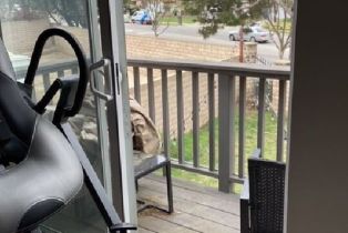 Single Family Residence, 2865 Briarpatch dr, Simi Valley, CA 93065 - 54