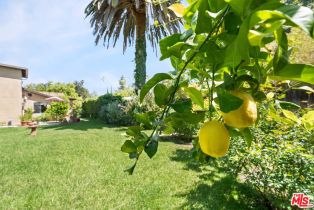 , 22620 Dolorosa st, Woodland Hills, CA 91367 - 30