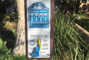 Single Family Residence, 219 Hamel dr, Beverly Hills, CA 90211 - 63