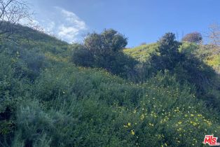 Single Family Residence, 3027 Franklin Canyon dr, Beverly Hills, CA 90210 - 30