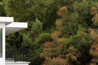 Single Family Residence, 1124 Summit dr, Beverly Hills, CA 90210 - 18