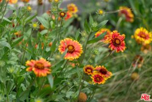 Single Family Residence, 712 Keystone st, Burbank, CA 91506 - 44