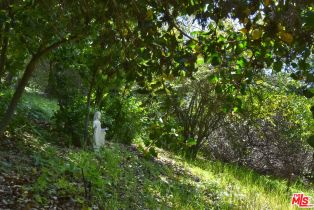 Single Family Residence, 3539 Alana Drive, Sherman Oaks, CA 91403 - 72