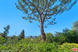 Single Family Residence, 20553 Califa st, Woodland Hills, CA 91367 - 44