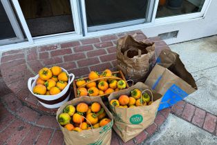 Single Family Residence, 2686 Velarde dr, Thousand Oaks, CA 91360 - 56