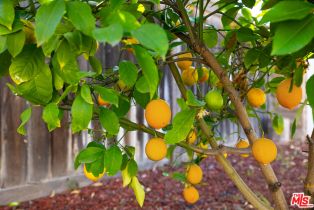 Single Family Residence, 39851 Ranchwood dr, Murrieta, CA 92563 - 30