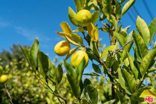 , 22563 Tiara st, Woodland Hills, CA 91367 - 54