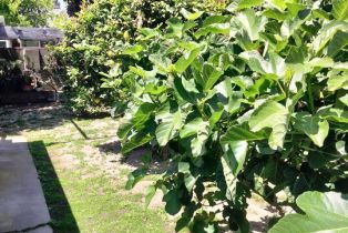 , 429 Brighton st, Burbank, CA 91506 - 38