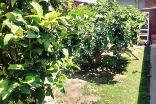 , 429 Brighton st, Burbank, CA 91506 - 37