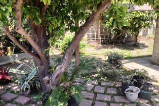 , 429 Brighton st, Burbank, CA 91506 - 36