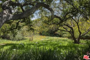 Single Family Residence, 670 Hot Springs rd, Montecito, CA 93108 - 35