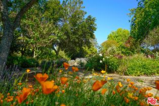 Single Family Residence, 1516 Monarch dr, Santa Ynez, CA 93460 - 29