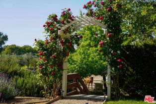 Single Family Residence, 1516 Monarch dr, Santa Ynez, CA 93460 - 33