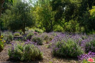 Single Family Residence, 1516 Monarch dr, Santa Ynez, CA 93460 - 28