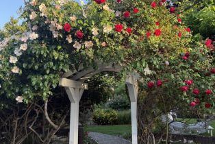 Single Family Residence, 1516 Monarch dr, Santa Ynez, CA 93460 - 32