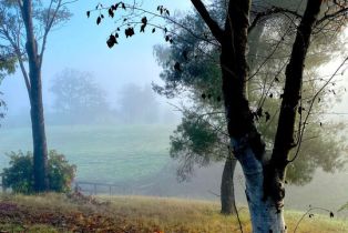 Single Family Residence, 1516 Monarch dr, Santa Ynez, CA 93460 - 40