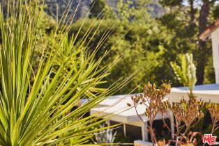 Single Family Residence, 2266 Cold Canyon rd, Calabasas, CA 91302 - 22