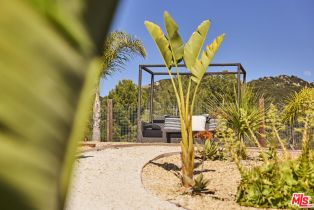 Single Family Residence, 2266 Cold Canyon rd, Calabasas, CA 91302 - 30