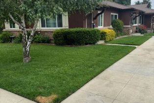 , 14332 Albers st, Sherman Oaks, CA 91401 - 18