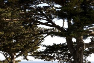 Single Family Residence, 4145 Creciente dr, Santa Barbara, CA 93110 - 14