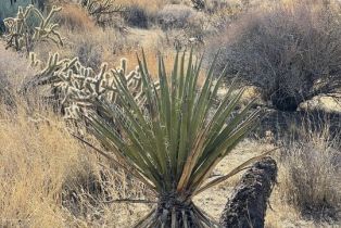 , 0 Star Shadow, Mountain Center, CA 92561 - 27