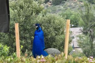 , 207 La Gross way, Chatsworth, CA 91311 - 10