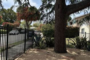 , 2917 Urban ave, Santa Monica, CA 90404 - 8