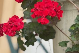 Condominium, 19 Imperial Aisle, Irvine, CA 92606 - 3