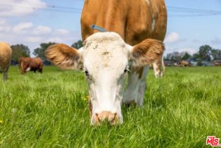 Single Family Residence, 30100 Los Alamos rd, Murrieta, CA 92563 - 11