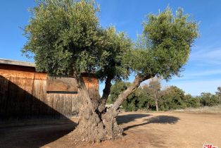 Single Family Residence, 30100 Los Alamos rd, Murrieta, CA 92563 - 38