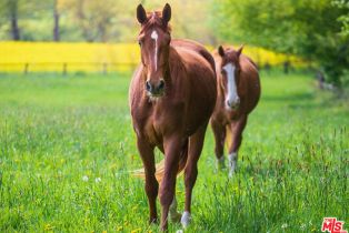 Single Family Residence, 30100 Los Alamos rd, Murrieta, CA 92563 - 18