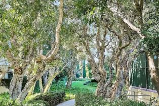 Condominium, 2160 Century Park East, Westwood, CA 90067 - 40