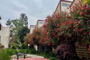 Condominium, 6050 Canterbury dr, Culver City, CA 90230 - 31