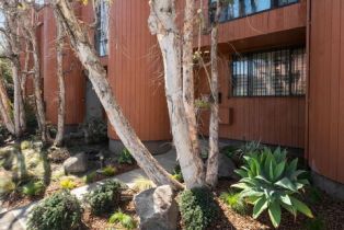 Condominium, 2108 Neilson way, Santa Monica, CA 90405 - 39